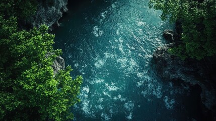 Obraz premium Aerial View of a Lush Green Forest Overlooking a Deep Teal River