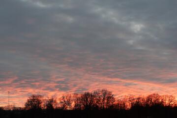 Naklejka premium Dusk Glow: Twilight Sky Over Dark Trees