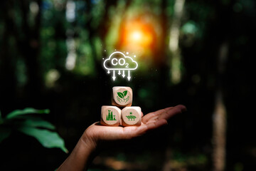 Carbon fixation fights nature. Carbon credit market and net zero exchange trading. carbon footprint to limit global warming and climate change. Renewable Sustainable. earth day ,friendly energy,