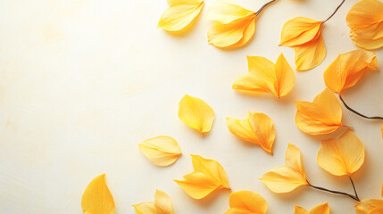 Fototapeta premium Yellow petals on light background: minimalist floral arrangement with soft shadows