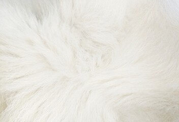 white fur texture