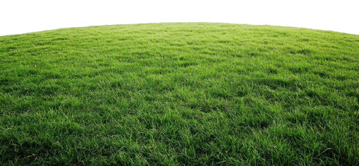 Obraz premium PNG Grass outdoors ground nature.