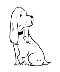 American Cocker Spaniel. Cute dog with big ears. Obedient dog sitting. Pet with a collar. Care of animals. Cartoon vector illustration black and white. Hand drawn outline sketch