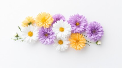 Fototapeta premium Colorful bouquet of daisies and asters arranged on a white background, showcasing nature's beauty.
