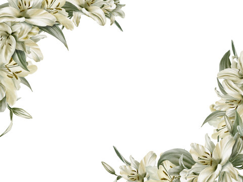 White lilies in corner template in watercolor floral frame isolated on transparent background.Hand drawn clipart sage leaf colors.For wedding invitations,baptism,birthday,funeral