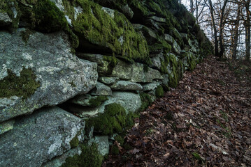 Stone wall covered in moss along a wooded trail in Sweden during autumn