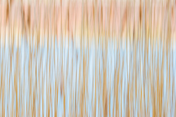 Golden grass reflects in still water at twilight in Sweden