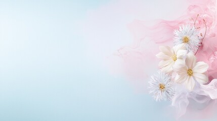 Soft pastel floral arrangement with white daisies on pink and blue background, perfect for serene spring designs.