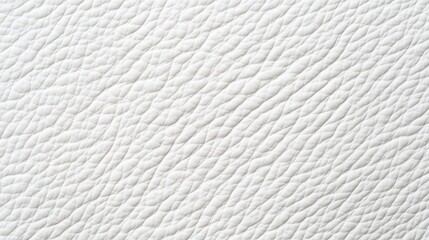 Obraz premium Close up white leather surface revealing intricate grain details, showing natural wrinkles and sophisticated textural elegance