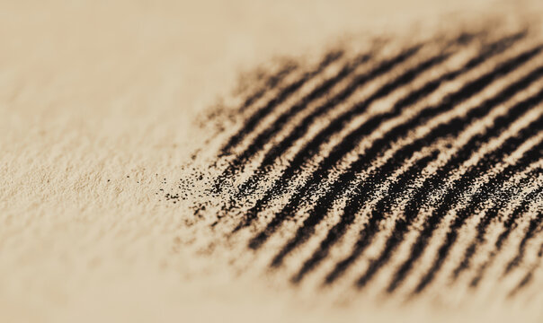 Intricate Patterns of Fingerprints: Exploring Forensic Science and Identity Verification Techniques