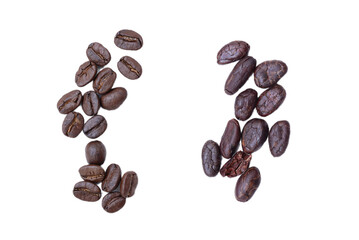 Coffee beans cocoa bean isolated