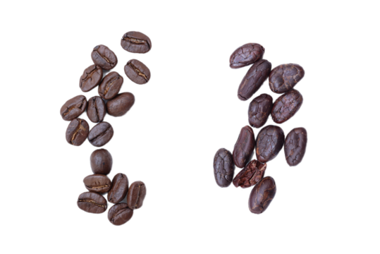 Coffee beans cocoa bean isolated