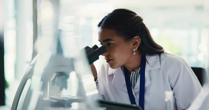 Scientist, microscope and woman with tablet in lab for research, medicine development and experiment. Biotechnology, science and microbiology for medical test, healthcare innovation or pharma study