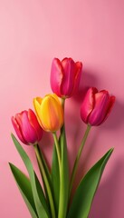 Fototapeta premium Vibrant tulips, pink backdrop, geometric shapes, vibrant, photography, nature