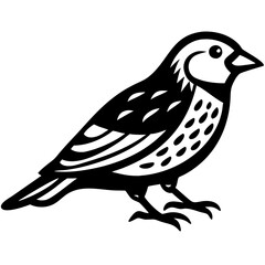 Fototapeta premium Vector Illustration of a Stylized Bird Perfect for Tattoos and Coloring Books