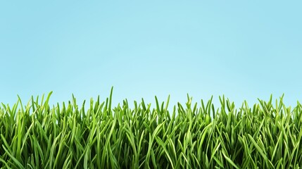 Obraz premium Vibrant Green Meadow Under Clear Blue Sky with Lush Grass and Serene Atmosphere