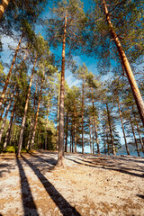 Fototapety na wymiar - Fototapeta24.pl