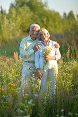 Fototapeta premium Loving mature couple in the park in summer