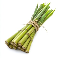 Fototapeta premium Fresh Green Sugar Cane Bundle