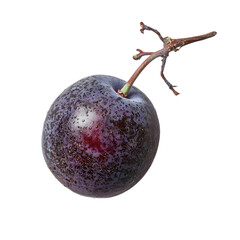 Obraz premium Juicy purple plum isolated on white background food photography clean environment close-up view freshness concept