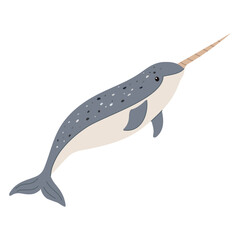 Vector illustration of a narwhal isolated on a white background.Polar marine animals © Jevgeniya Mukhitova