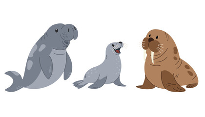 Set of cute aquatic animals. Ocean mammals. Walrus, sea lion, seal. Vector illustration in cartoon style isolated on white background.