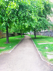 alley in the park