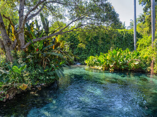 Naklejka premium Mexiko