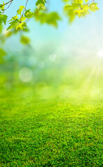 green natural grass background with sun rays and spring branches with leaves