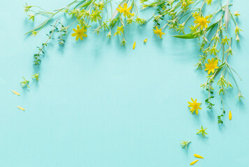 wild spring flowers on paper background