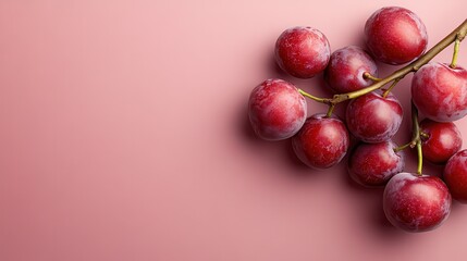 An inviting arrangement of juicy red plums set against a soft pink backdrop creates a vibrant and fresh look, enhancing the visual appeal in a minimalist style.