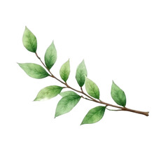 Fototapeta premium Watercolor painting of a green leaf branch in nature artistic representation tranquil environment close-up view