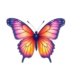 Vibrant watercolor butterfly art nature studio artwork display soft lighting close-up view creative inspiration