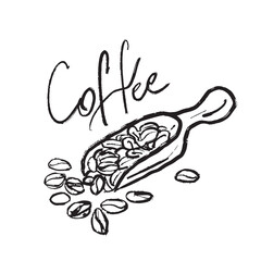 Coffee beans scoop black drawing in black brush stroke texture isolated on white background. Hand drawn vector sketch illustration in vintage charcoal ink. Poster design, menu, symbol