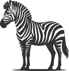Zebra standing still and head held high animal silhouette