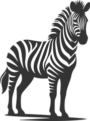 Zebra standing still and head held high animal silhouette