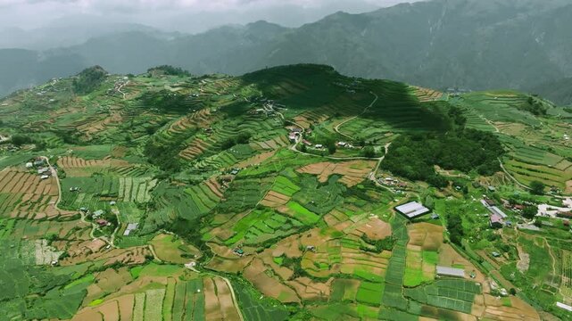 4K Aerial Of Mt. Olis Rice Terraces, A Green Tapestry in Benguet, Philippine
Rice terraces cascading down the mountainside, a testament to human ingenuity and the region's rich agricultural heritage. 