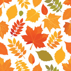 Obraz premium Autumn leaves seamless pattern