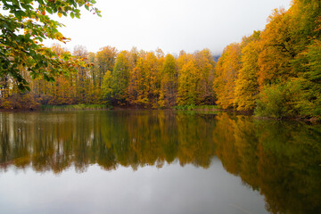A beautiful view of a lake in the forest in autumn.