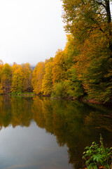 A beautiful view of a lake in the forest in autumn.
