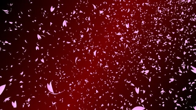 Bunch of pink cherry petals falling sideways from right to left on dark red gradient background. Abstract background with a scene of Spring time in Japan.
