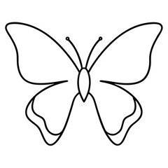 butterfly vector illustration