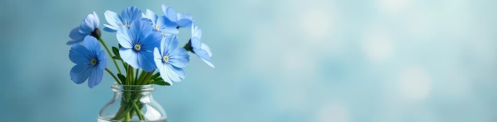 Fototapeta premium delicate blue forget me not flowers in a glass vase, flowers, wildflowers, vase