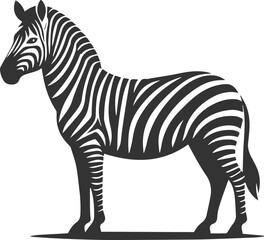 Zebra standing with ears perked up and alert animal silhouette