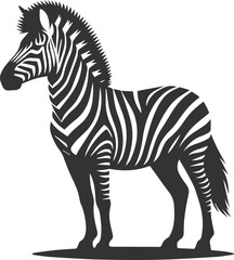 Zebra standing with ears perked up and alert animal silhouette