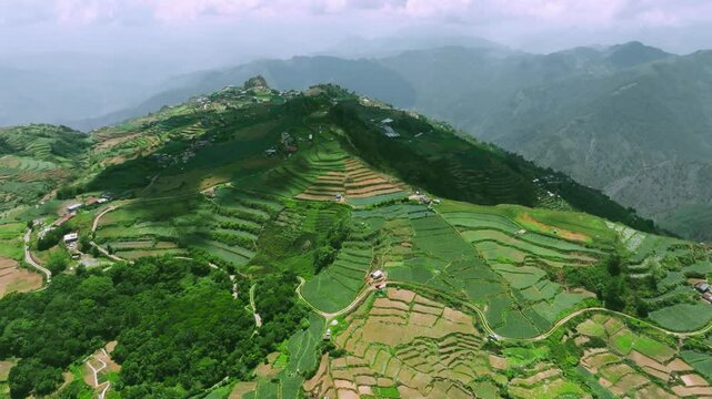 4K Aerial Of Mt. Olis Rice Terraces, A Green Tapestry in Benguet, Philippine
Rice terraces cascading down the mountainside, a testament to human ingenuity and the region's rich agricultural heritage. 