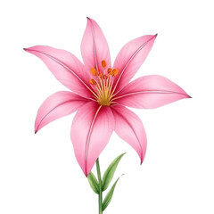 Watercolor lily blossoms in a serene garden nature artwork floral elegance colorful environment perspective