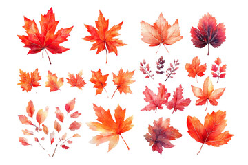 Obraz premium A collection of watercolor-style illustrations of red and orange maple leaves.