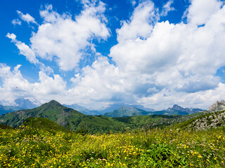 Pradera alpina con flores silvestres y montañas bajo cielo azul