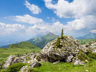 Rocas alpinas con pradera verde y montañas bajo cielo azul